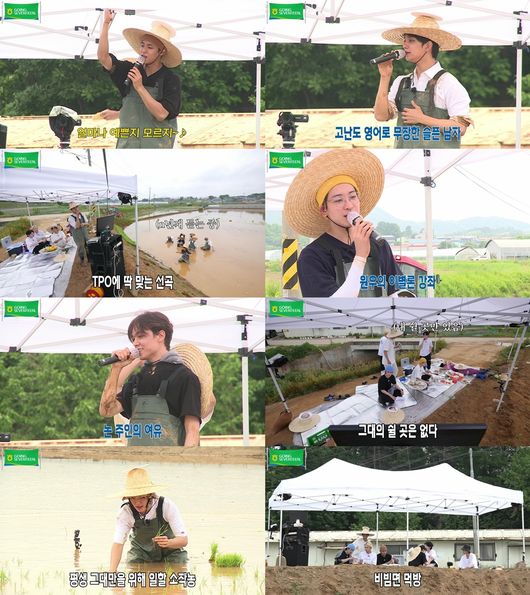플레디스 제공