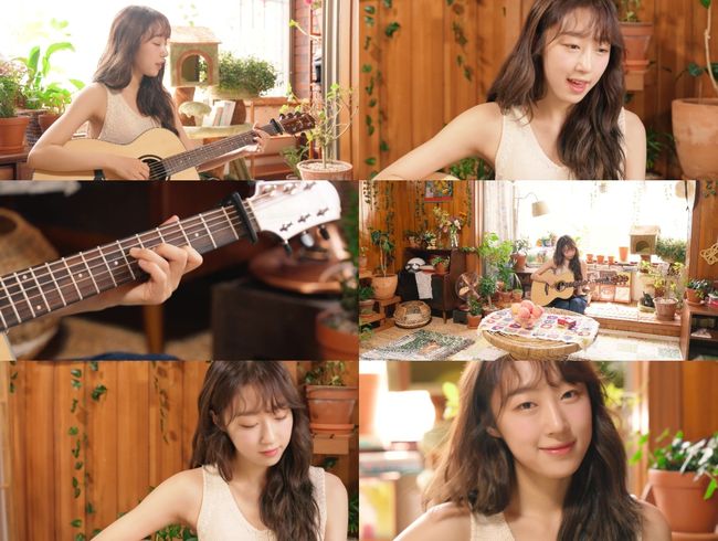 스타쉽엔터테인먼트 제공