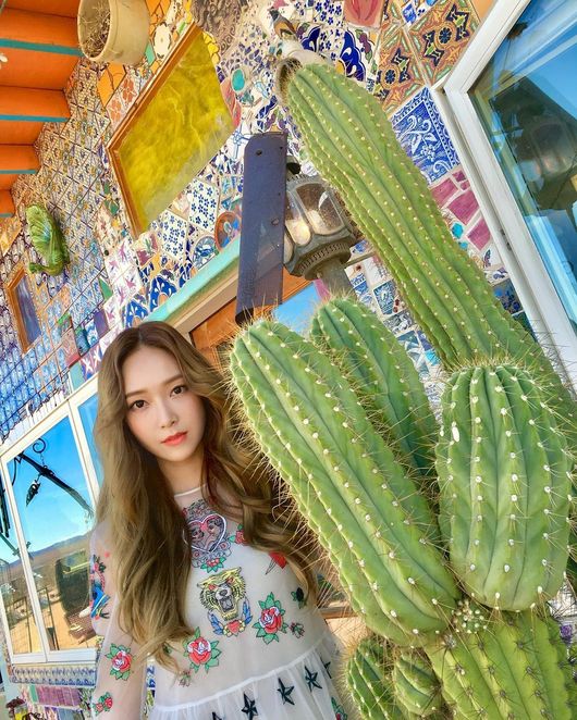 제시카 인스타그램