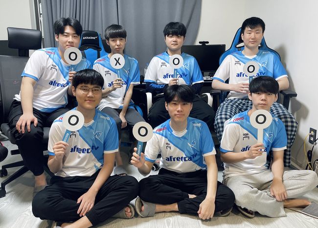 아프리카 제공.