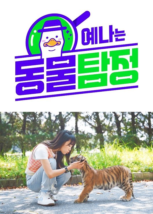 스튜디오 와플
