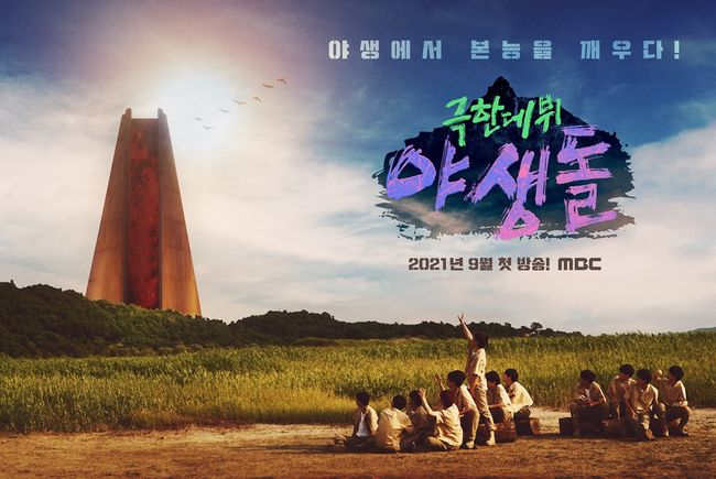 '야생돌' 제공