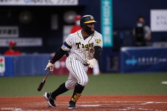 [사진] 한신 타이거즈 홈페이지