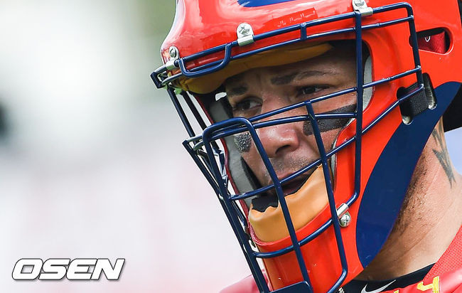  세인트루이스 몰리나