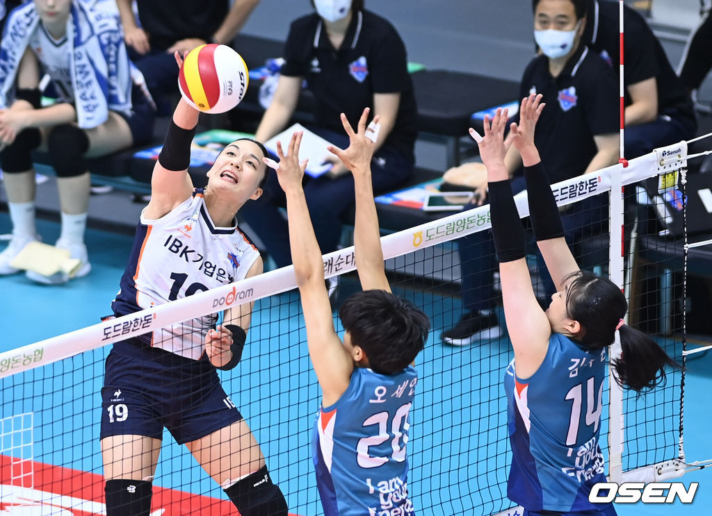 26일 경기 의정부체육관에서 열린 ‘2021 의정부∙도드람컵 프로배구대회’ IBK기업은행과 GS칼텍스의 경기, IBK기업은행 표승주가 공격을 시도하고 있다. 2021.08.26 /sunday@osen.co.kr