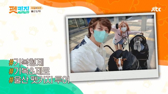 '펫키지' 제공