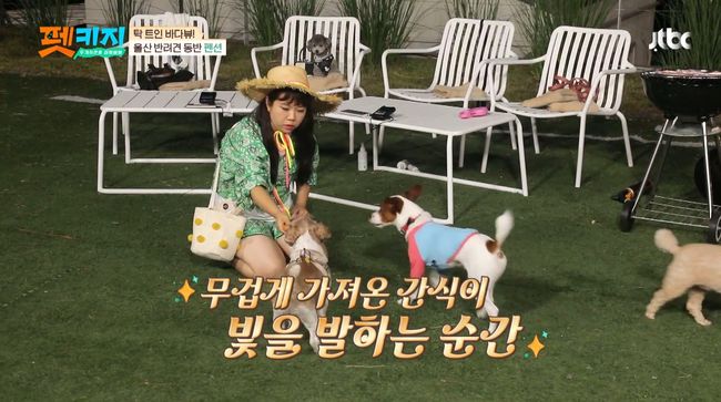 '펫키지' 제공