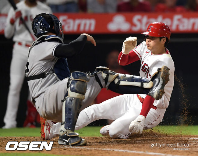 [사진] LA 에인절스의 오타니 쇼헤이(오른쪽)가 1일(한국시간) 에인절 스타디움에서 벌어진 뉴욕 양키스와 홈경기 5회 말서 상대 포수 개리 산체스의 태그에 앞서 홈 스틸을 성공시키고 있다. ⓒGettyimages(무단전재 및 재배포 금지)
