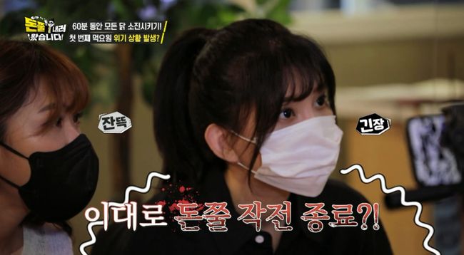 IHQ 제공