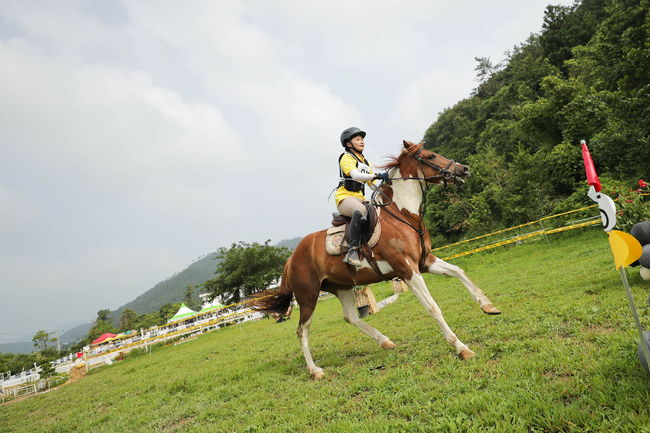 [사진]한국마사회 제공