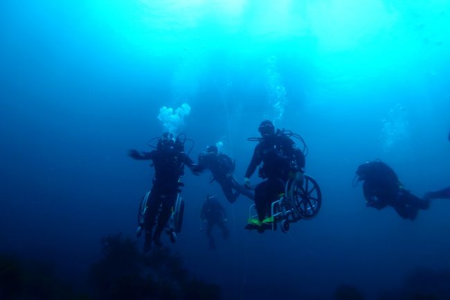 [사진] 대구시장애인체육회 제공 