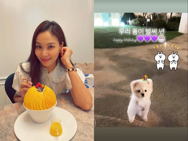 고소영 인스타그램