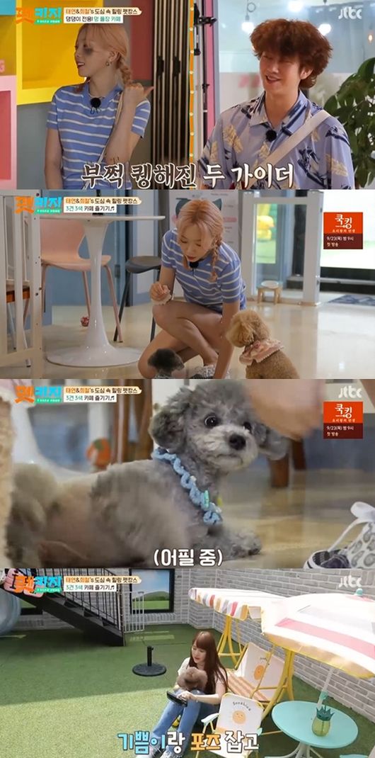 [사진]  ‘펫키지’ 방송화면 캡쳐