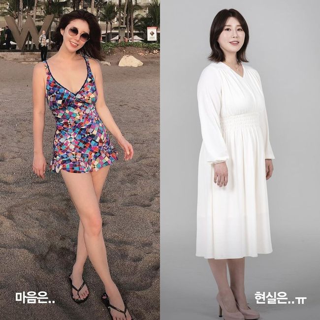 나비 인스타그램