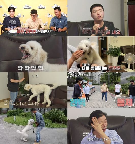 '개훌륭' 제공