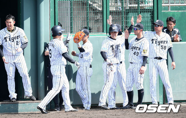 스프링캠프에서 실전을 펼치고 있는 한신 타이거즈 선수들./OSEN DB