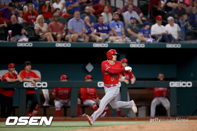 [사진] 에인절스 오타니가 시즌 최종전 선발 등판을 포기하고 홈런왕 경쟁에 집중한다. ⓒGettyimages(무단전재 및 재배포 금지)
