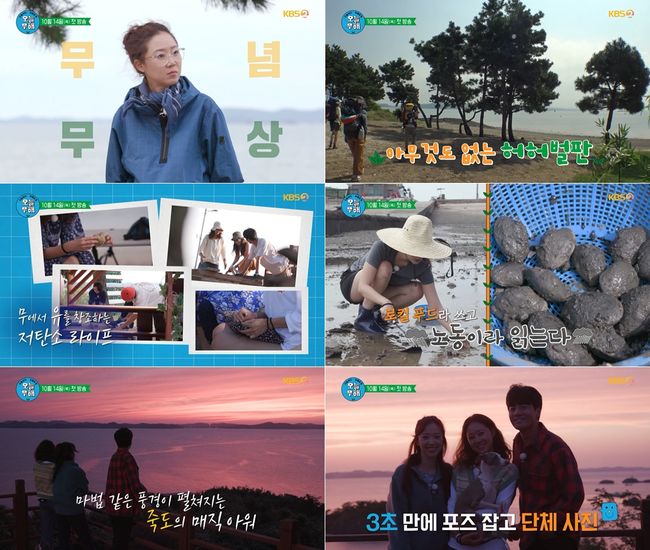 '오늘부터 무해하게' 제공
