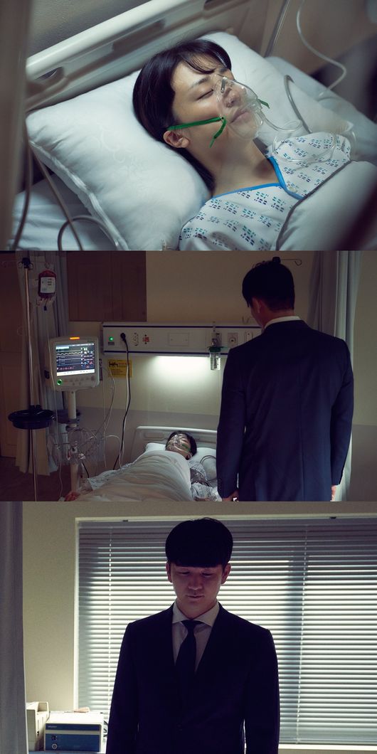 '검은 태양' 제공
