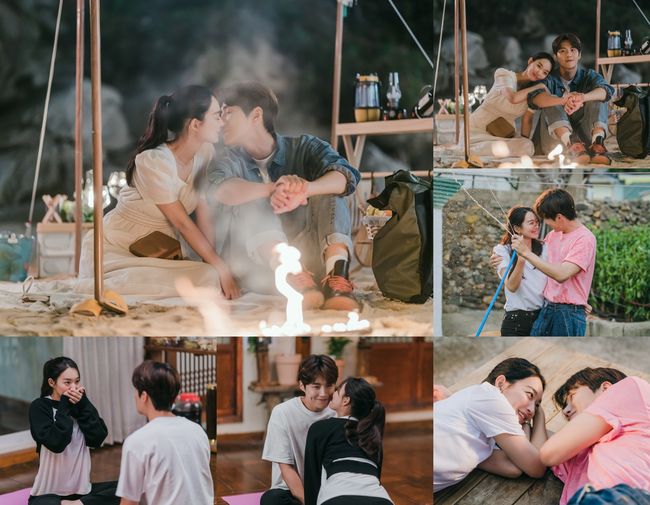 tvN 제공