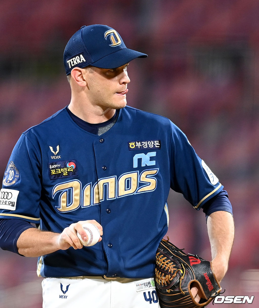 NC 다이노스 드류 루친스키. /OSEN DB