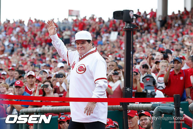 [사진] 피트 로즈 ⓒGettyimages(무단전재 및 재배포 금지)