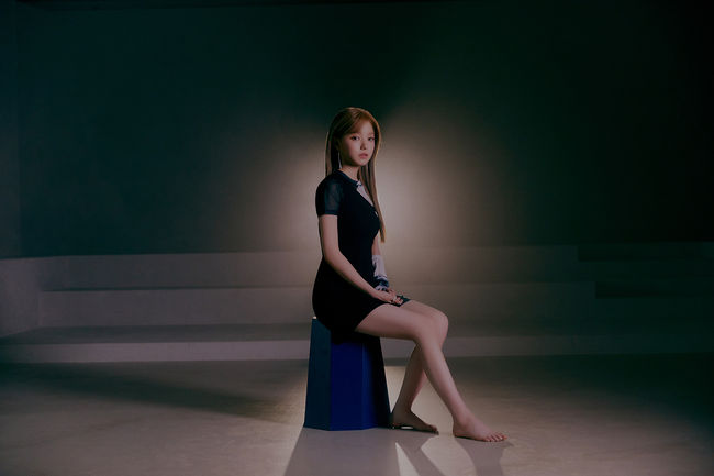 도로시컴퍼니 제공
