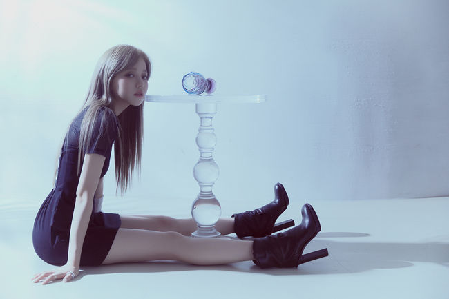 도로시컴퍼니 제공