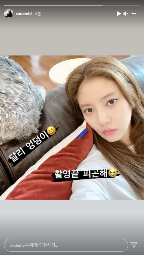 손담비 인스타그램