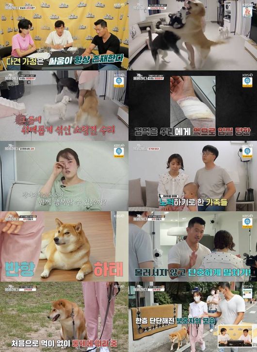 방송 화면 캡쳐