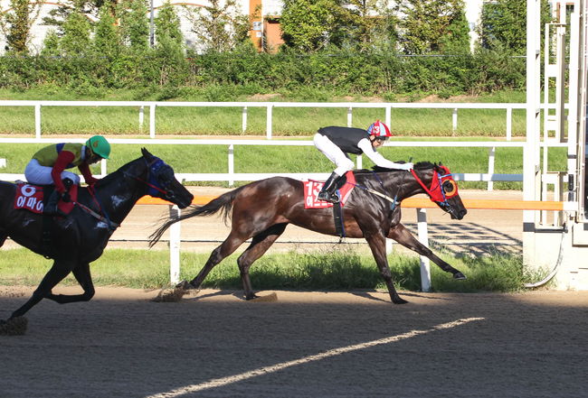 [사진]한국마사회 제공