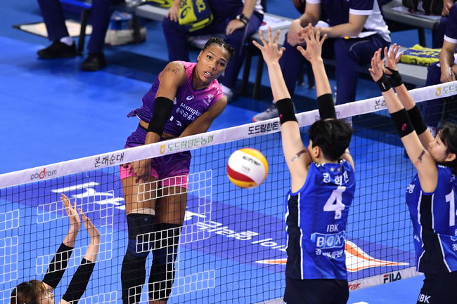 흥국생명 캣벨 / KOVO 제공 