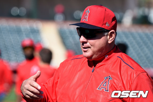 마이크 소시아 전 LA 에인절스 감독 / OSEN DB