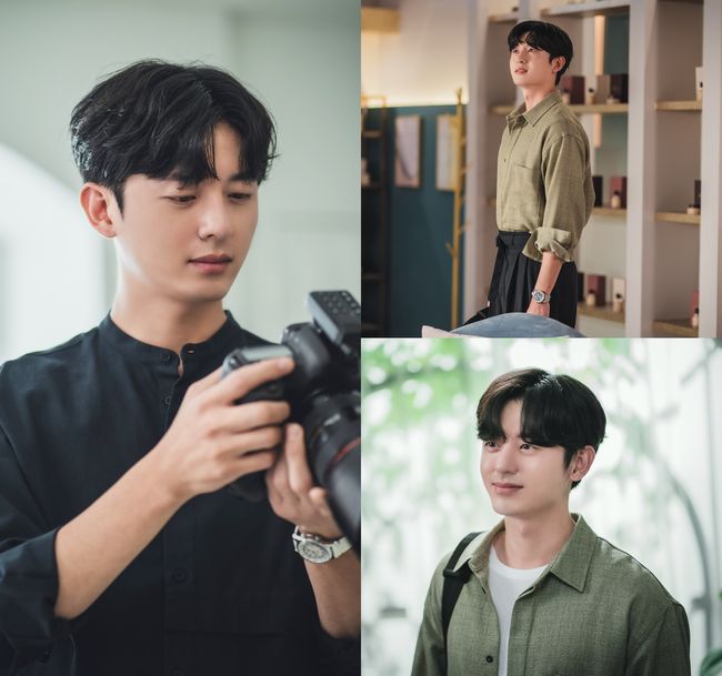 IHQ 제공