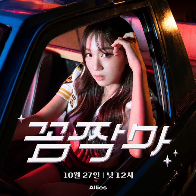 얼라이즈 제공