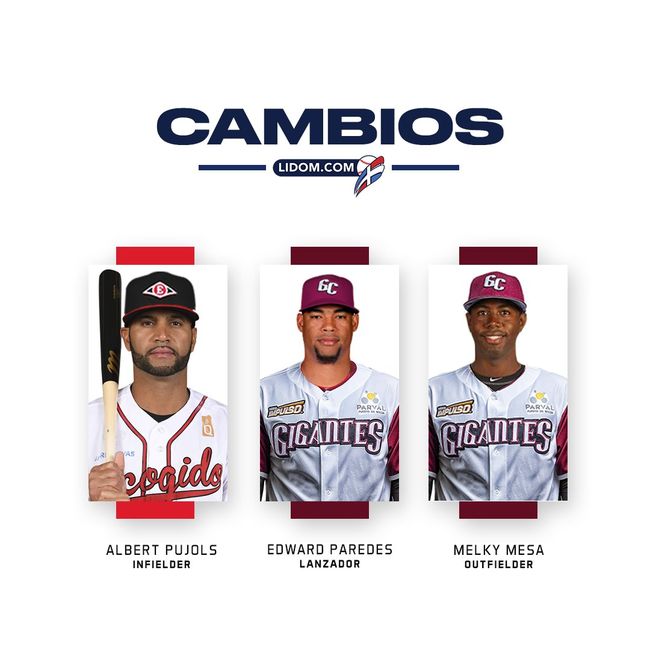 도미니카 윈터리그 SNS