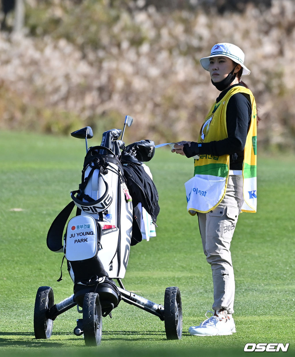 1번홀 동생 박주영의 캐디로 나선 박희영이 코스를 살피고 있다.  2021.11.07 /jpnews@osen.co.kr