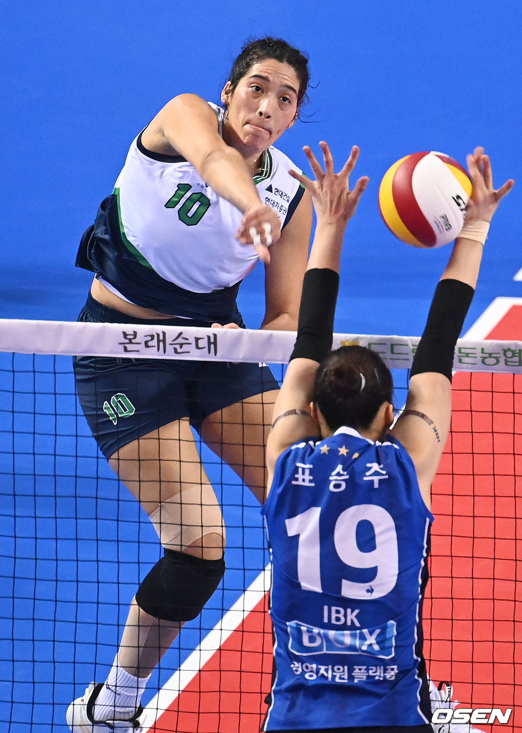 현대건설 야스민. /OSEN DB