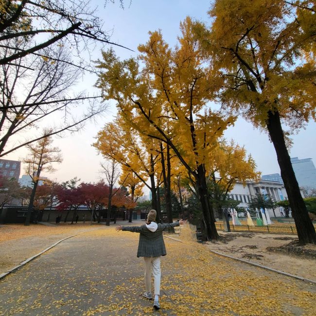 성유리 인스타그램
