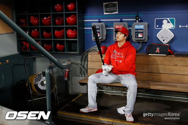 [사진] 오타니는 2021년 11월 24일(한국시간) 메이저리그 사무국이 발표한 ALL-MLB 팀에서 '투타'에서 모두 인정받았다. ⓒGettyimages(무단전재 및 재배포 금지)