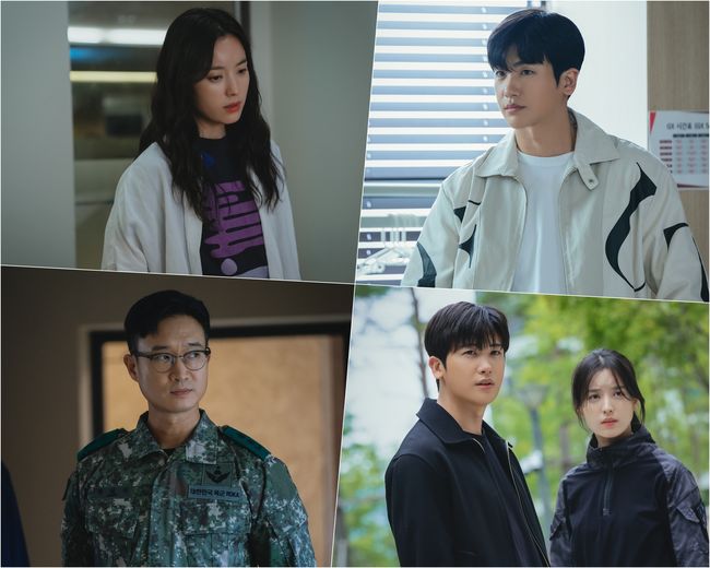 '해피니스' 제공