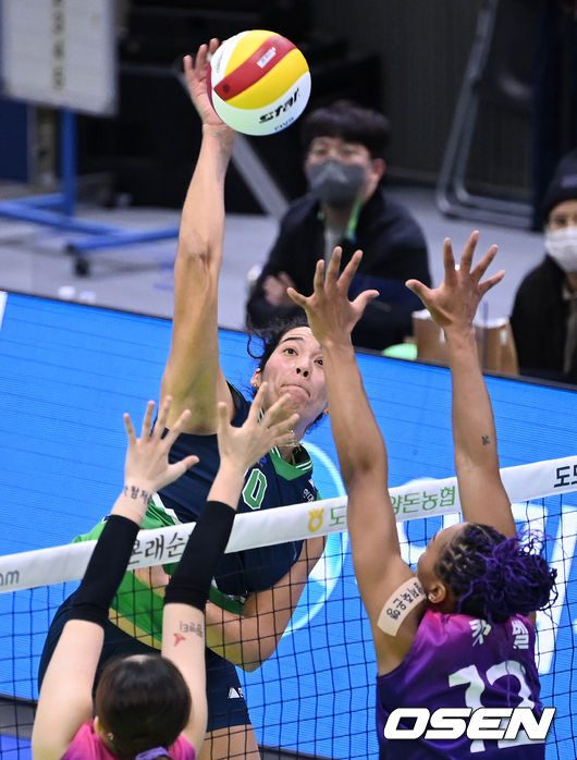 26일 오후 수원체육관에서 2021-2022 도드람 V-리그 여자부 정규리그 프로배구 현대건설과 흥국생명의 경기가 열렸다.1세트 현대건설 야스민이 흥국생명의 블로킹 벽을 피해 공격을 시도하고 있다. 2021.11.26 /sunday@osen.co.kr