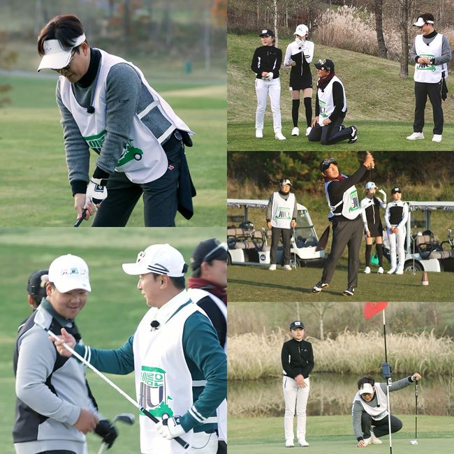 IHQ 제공