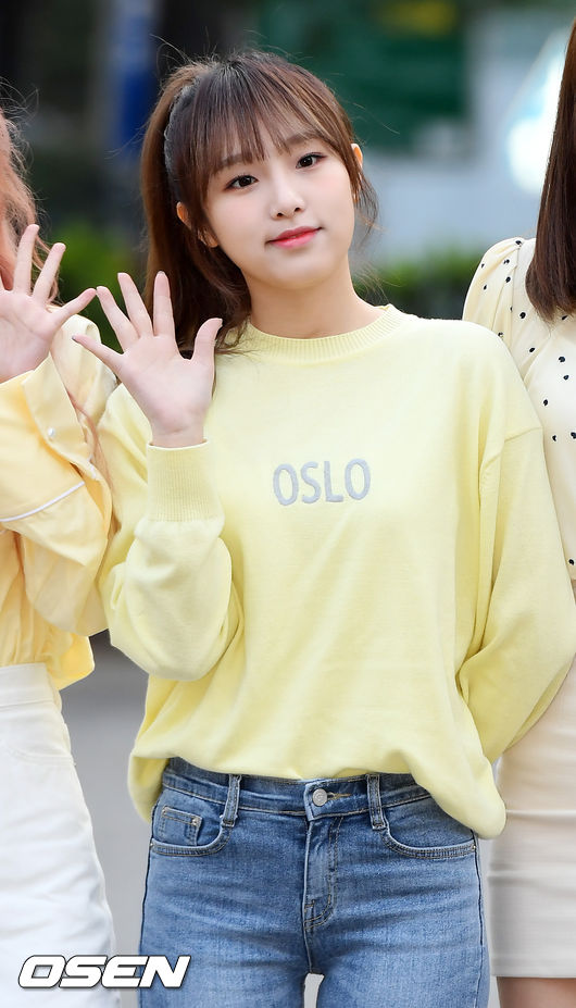 OSEN DB.