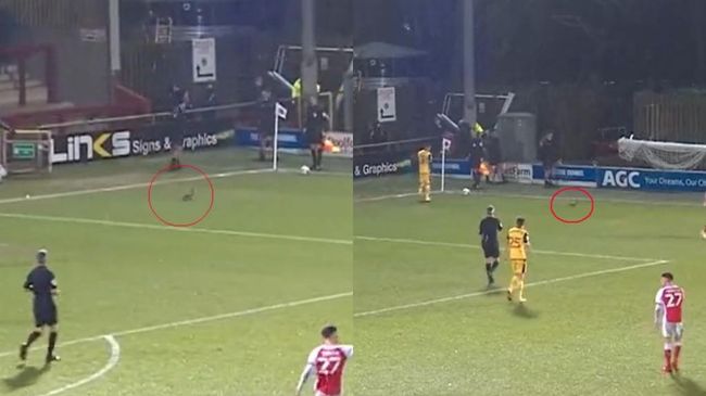 [사진] 스카이스포츠