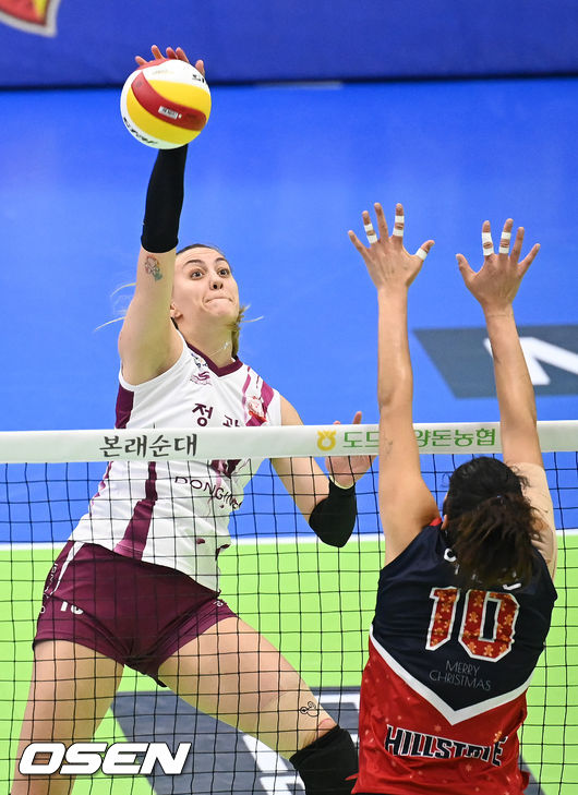 KGC인삼공사 옐레나 /OSEN DB