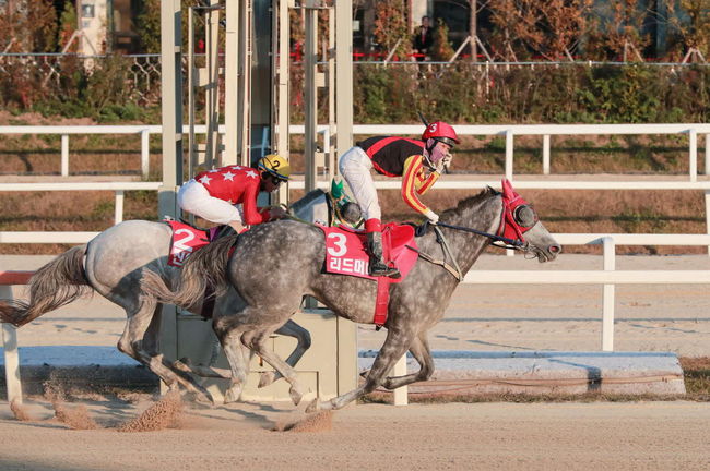 [사진]리드머니 /한국마사회 제공
