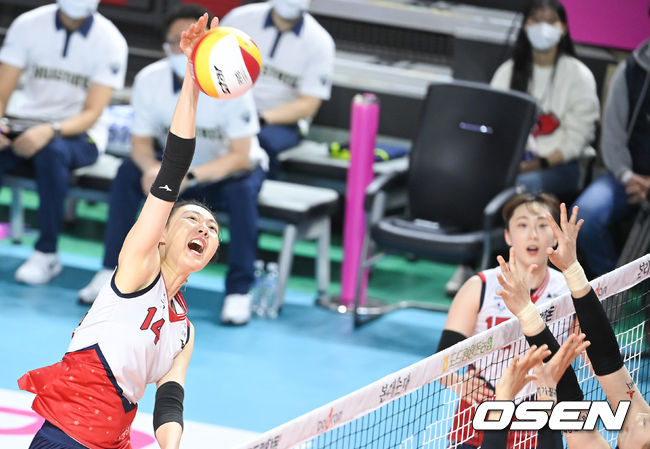 현대건설 양효진이 강타를 날리고 있다.    2021.12.14 /OSEN DB