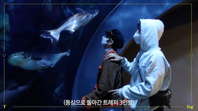 YG엔터테인먼트 제공