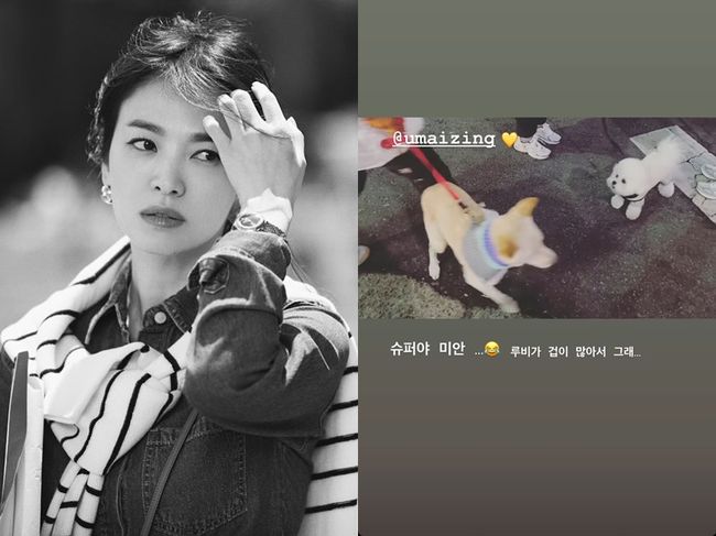 송혜교 인스타그램